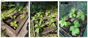 14-06-26-Plants.jpg