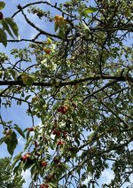 IMG_1411.jpeg