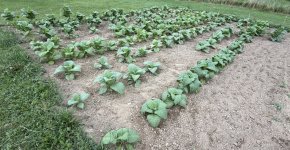 IMG_0105.jpeg