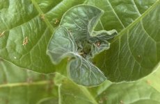 IMG_1592.jpeg