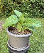 IMG_1595.jpeg