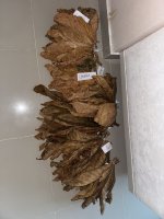 IMG_8407.jpg