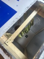 IMG_2453.jpeg