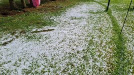 Hailstorm 2026-07-07 1.jpg Hailstorm 2026-07-07 1.jpg