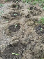 IMG_1812.jpeg