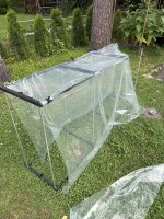 Curing-greenhouse.jpg Curing-greenhouse.jpg