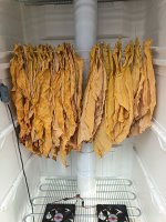 IMG_20260721_084233.jpg