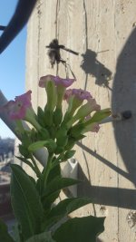 ٢٠٢٦٠٧٢٠_١٧٥٣٥٤.jpg