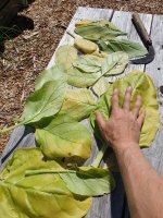 20260722_110654.jpg 20260722_110654.jpg