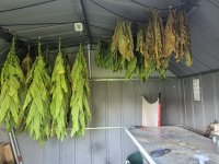 20260726_085703.jpg
