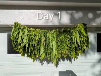 Day 01 Medium.jpeg
