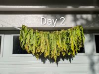 Day 02 Medium.jpeg