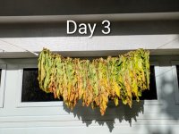 Day 03 Medium.jpeg