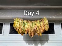 Day 04 Medium.jpeg