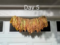 Day 05 Medium.jpeg