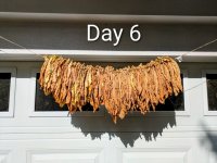 Day 06 Medium.jpeg