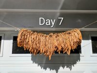 Day 07 Medium.jpeg