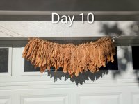 Day 10 Medium.jpeg