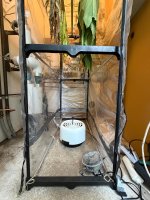 Curing-tent-2-050826.jpg