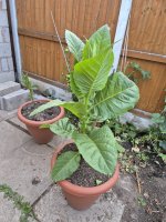 20260806_202838.jpg