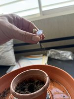 IMG_0026.jpeg