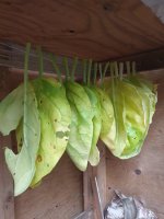 20260808_104619.jpg