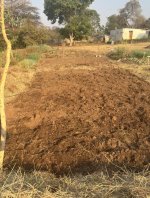 IMG_3528.jpeg