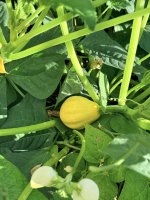 IMG_1201.jpeg