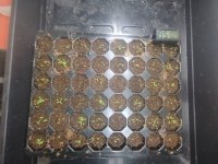 0bfe83e2-f0e8-43ef-b54e-ec0d23ccb175.jpeg