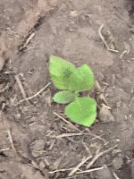 IMG_3966.jpeg