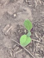 IMG_3968.jpeg
