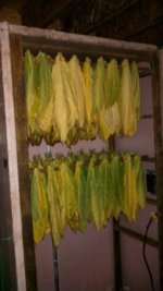 IMG_20131003_220759_682.jpg