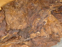 Aged_Br-Leaf3.JPG