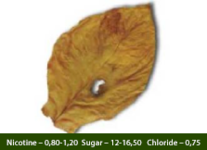 Kurumovgrad.png