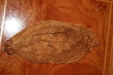 IMG_0620.jpg