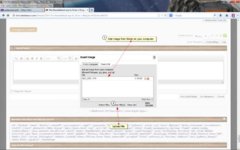 FireShot Screen Capture #007 - 'The Knucklehead way to Grow a Blog - Page 29' - fairtradetobacco.jpg