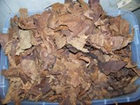 McFugly handrolled cigars 001.jpg