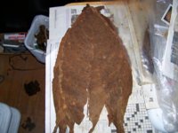 McFugly handrolled cigars 002.jpg