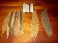 100_2432.jpg 100_2432.jpg