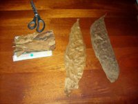 100_2434.jpg 100_2434.jpg