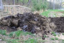 turned over cow crap.JPG turned over cow crap.JPG