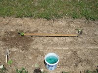 lining up rows 001.JPG