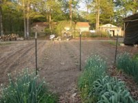 gokart and trackhoe 002.JPG