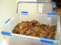 Plastic tub with lid.JPG
