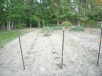 New kart 004.JPG