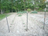 New kart 005.JPG