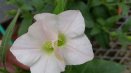 20140501_092629.jpg
