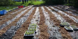 20140513_092943.jpg