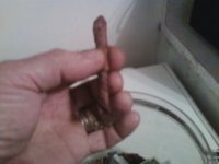 dollar cigar 001.jpg