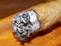 quo155 First Cigar 03.jpg